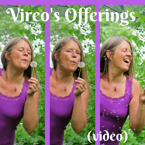 Vireo’s Offerings (Video)