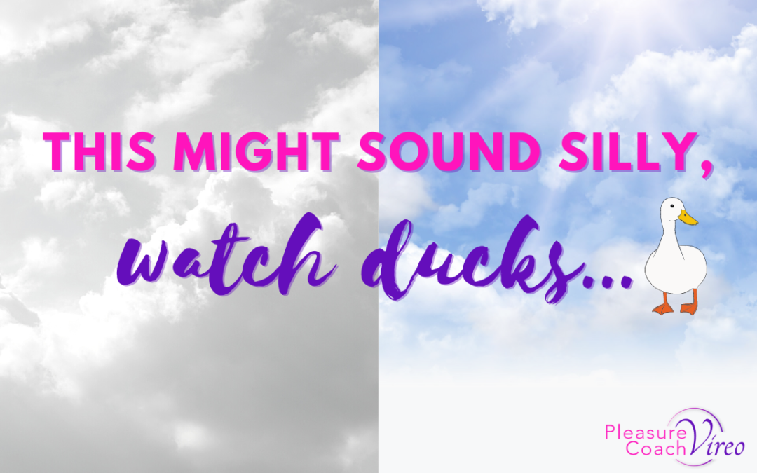 ​This might sound silly, watch ducks…