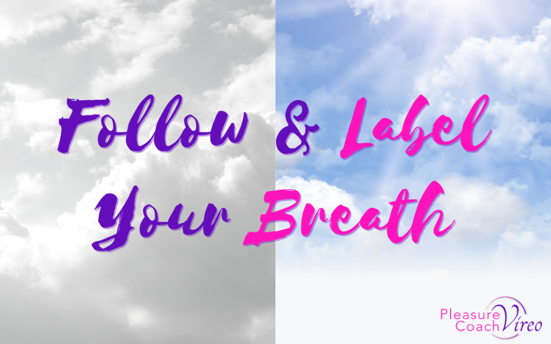 Follow & Label Your Breath