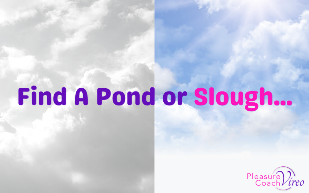 ​Find A Pond or Slough…