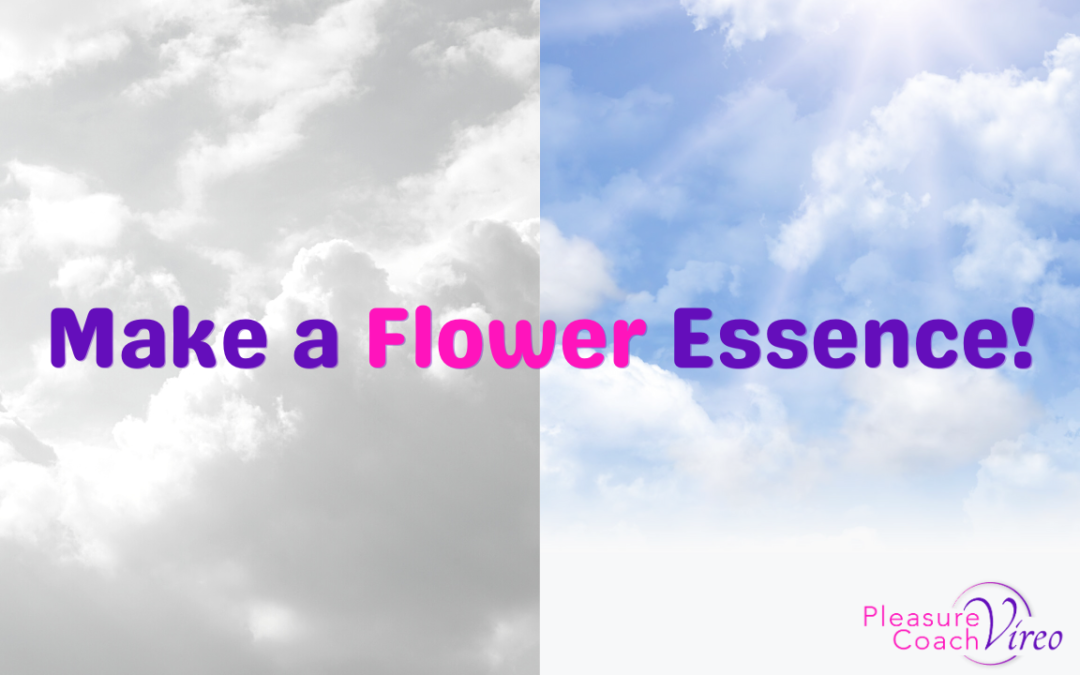 Make a Flower Essence!