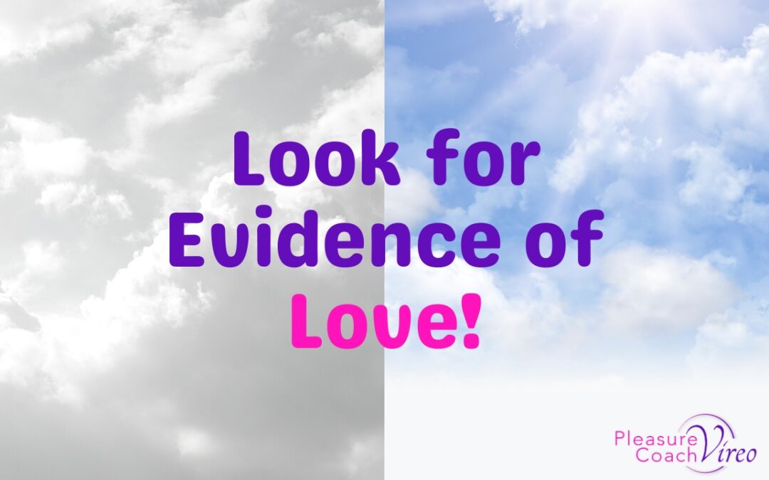 ​Look for Evidence of Love!