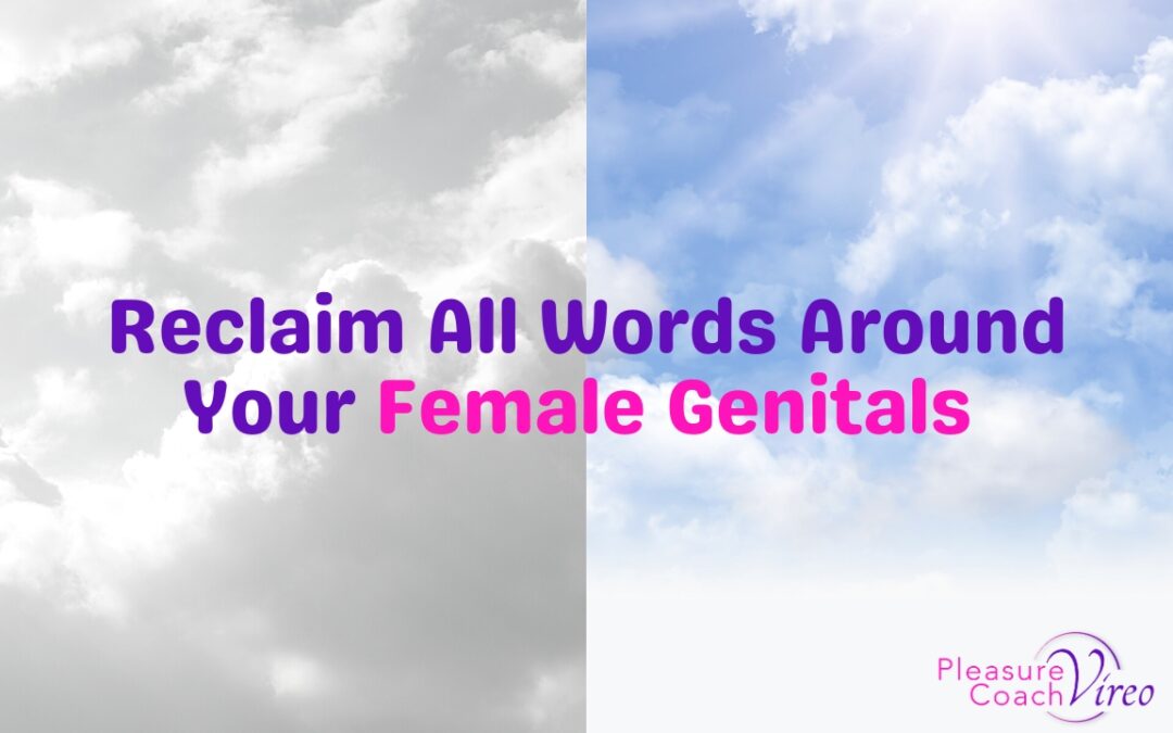 Reclaim All Words Around Your Female Genitals