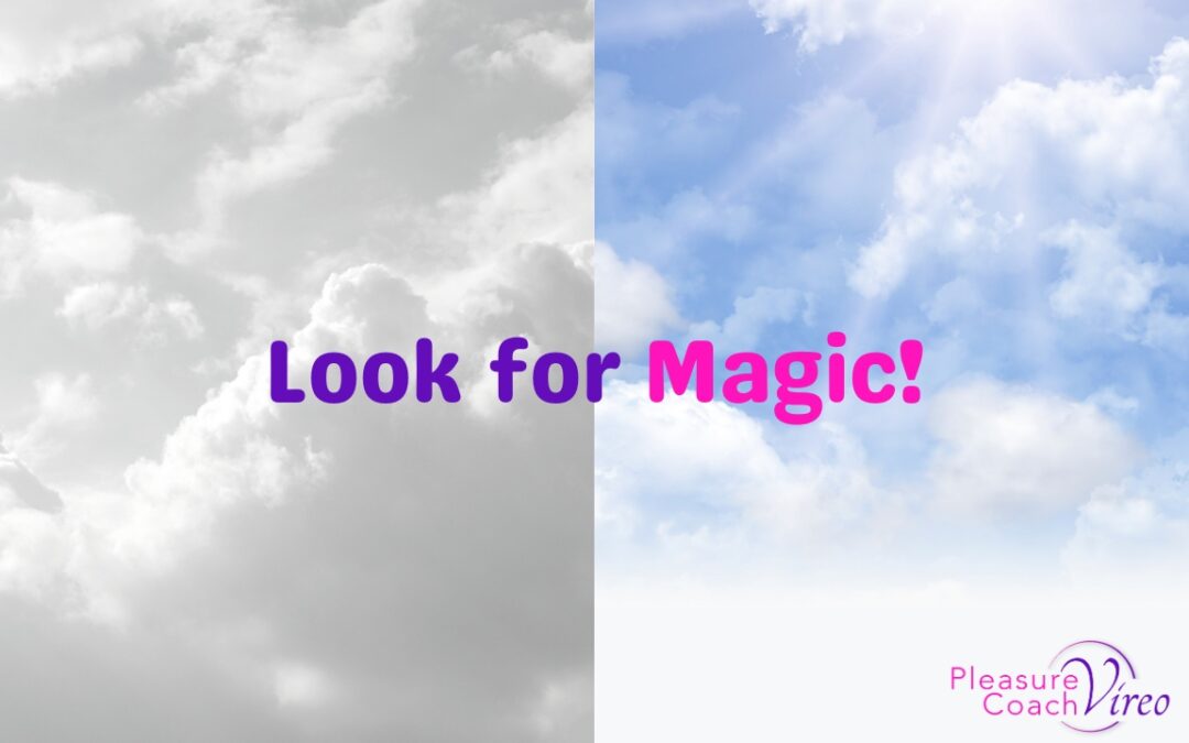 Look for Magic!