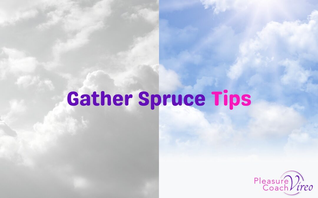 Gather Spruce Tips
