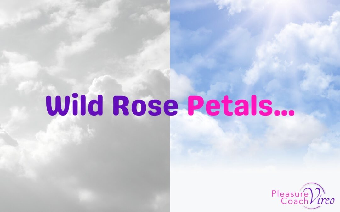 Wild Rose Petals…