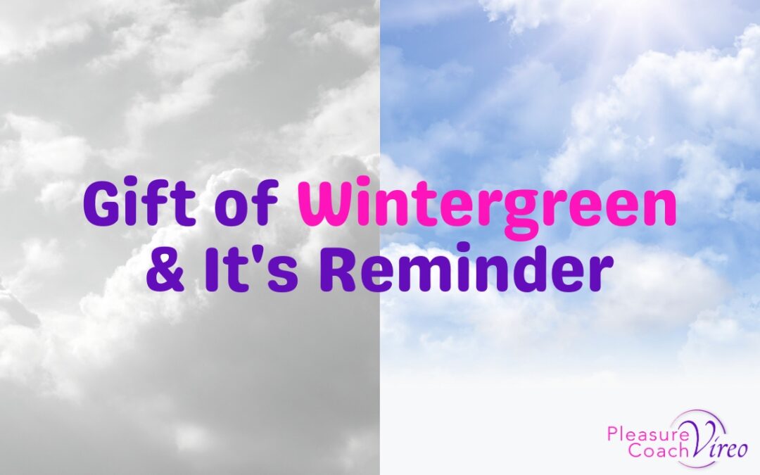 Gift of Wintergreen & It’s Reminder